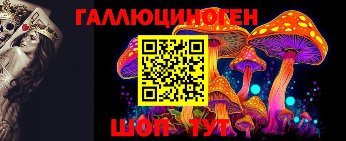 Заринск  Галлюциногенные грибы Psilocybe  Вход с VPN 