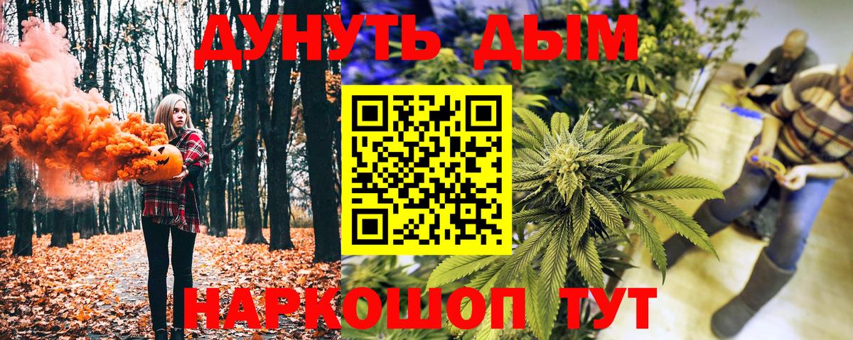 Шишки марихуана AK-47  Вход с VPN  Шишки марихуана план  Заринск 
